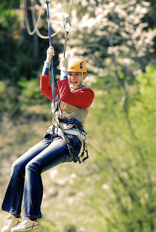 Flying Fox (C) Zaforek