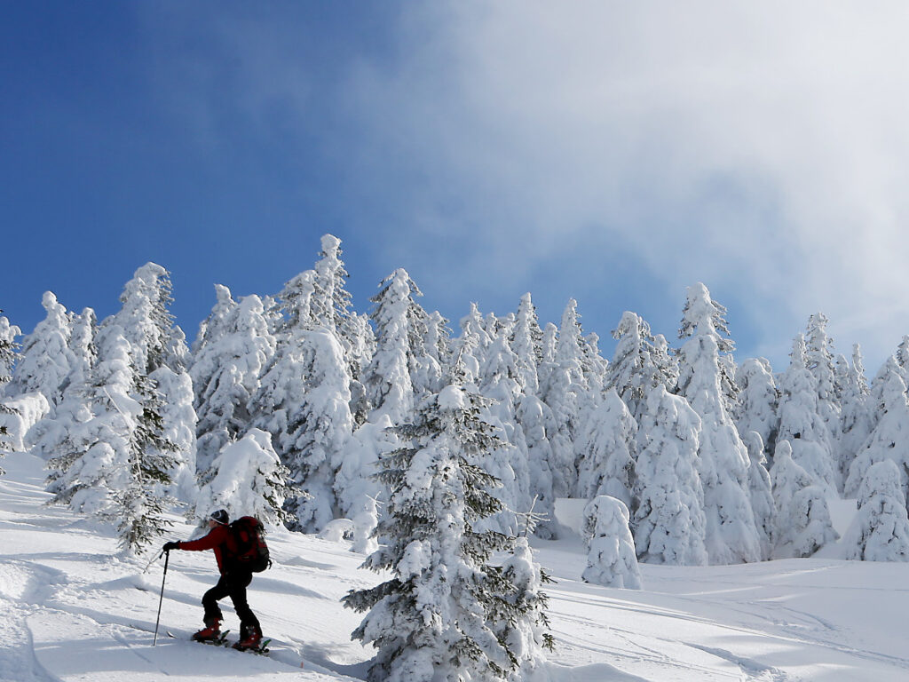 Winterwandern in Form einer Skitour im Dirndltal