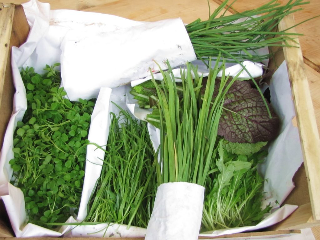 Wildkräuter-Ernte direkt aus den Steinschaler Naturgärten im Dirndltal, als Farm-to-table Konzept